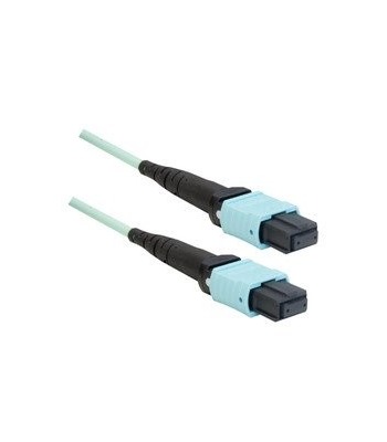 Enconnex 40G MTP (Female) to MTP (Female) - Trunk Cable - 1 Meter