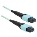 Enconnex 40G MTP (Female) to MTP (Female) - Trunk Cable - 5 Meter