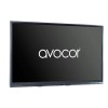 Avocor E6510 Interactive Touch Screen